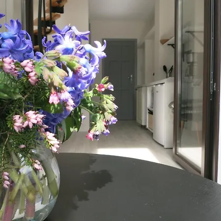 Małe Letnisko Apartament *